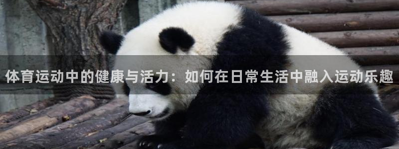千亿国际官方正版app新能源:体育运动中的健康与活力:如何在